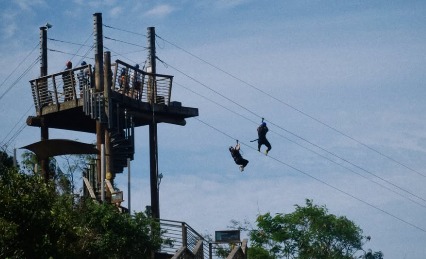 Collections CLIMB Works